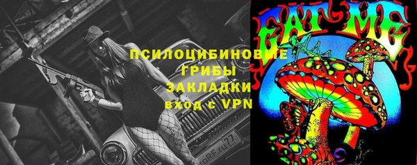 ешки Горнозаводск